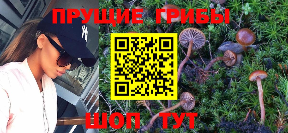 Ачхой-Мартан  Галлюциногенные грибы мухоморы  Вход с VPN 
