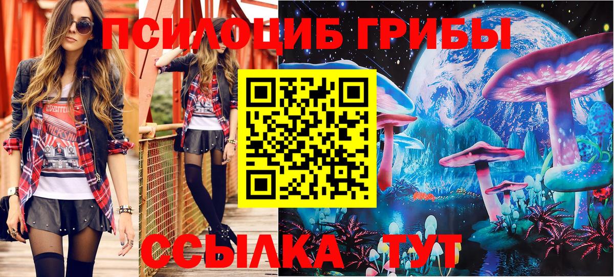 Галлюциногенные грибы Psilocybe Ачхой-Мартан